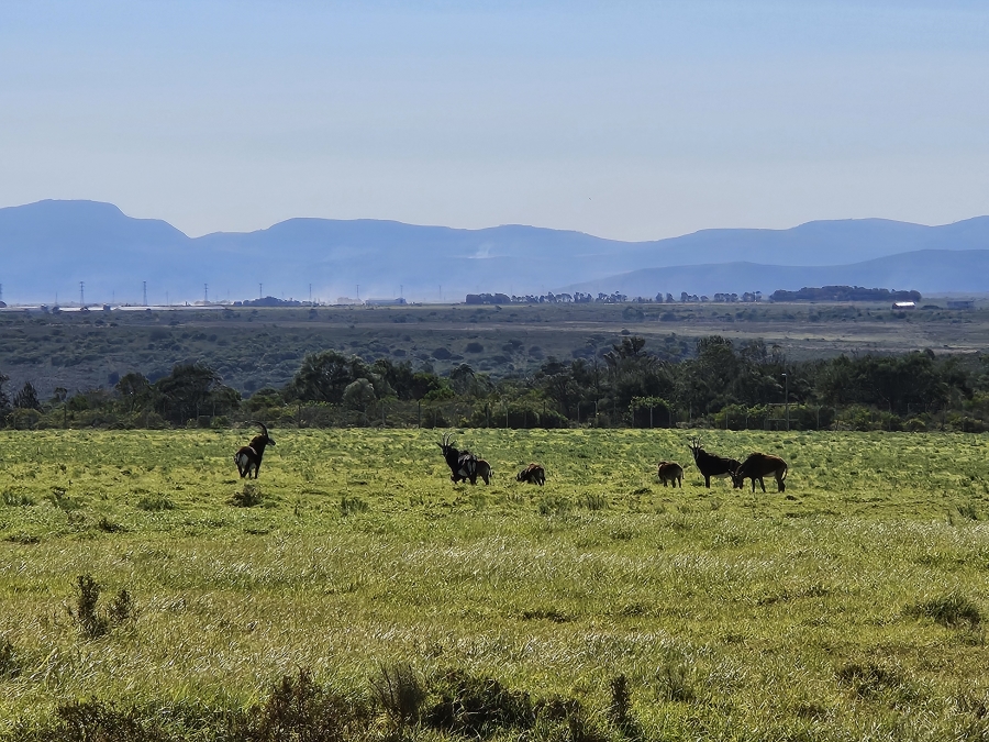 0 Bedroom Property for Sale in Twin Valley Eastern Cape